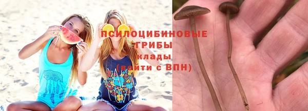 2c-b Алексин