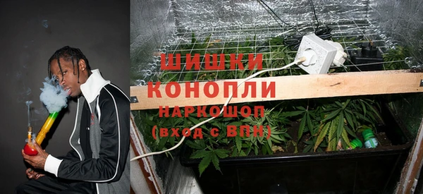 ГАЛЛЮЦИНОГЕННЫЕ ГРИБЫ Алзамай