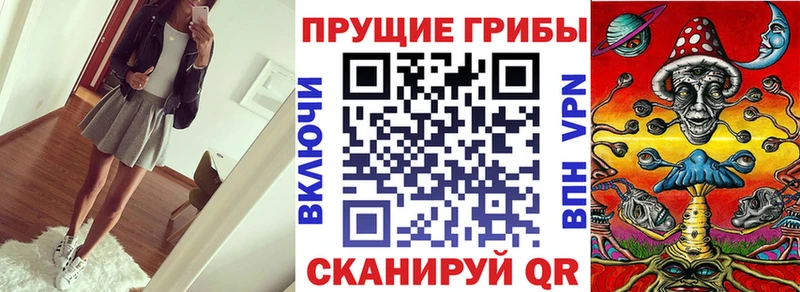 Псилоцибиновые грибы Cubensis mega ONION даркнет какой сайт Каневская