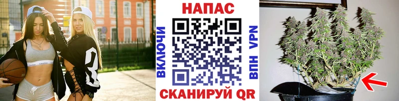 Марихуана Ganja  закладка  Каневская 